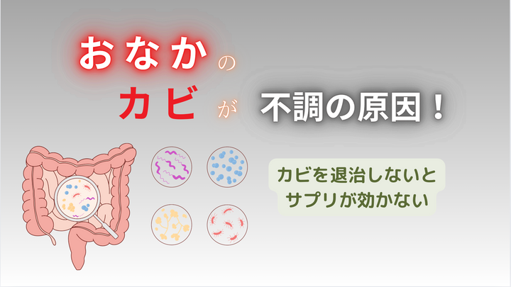 4月27日　講座